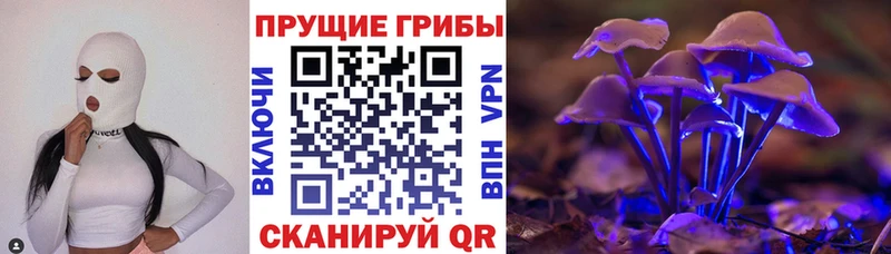 МЕГА онион  Кашира  Псилоцибиновые грибы MAGIC MUSHROOMS 